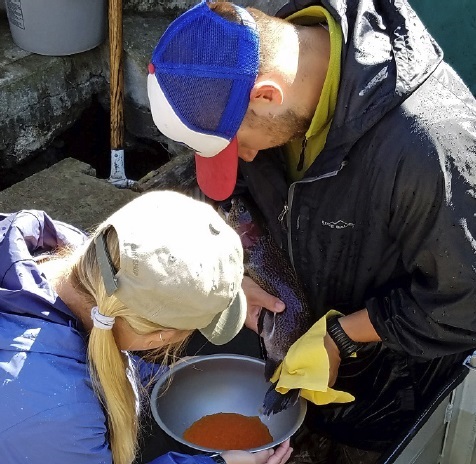2026 Coldwater Fish Culture Course