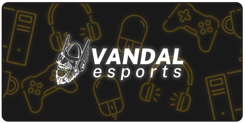 Vandal Esports Mousepad