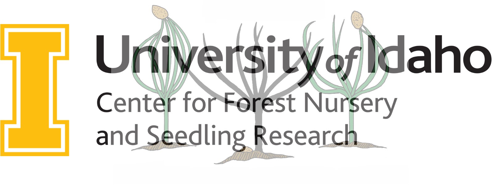 University of Idaho Pitkin Forest Nursery 