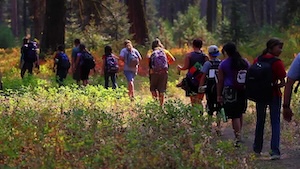 Stewardship Tu/Th Rate