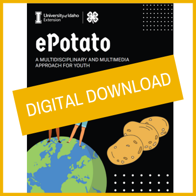 ePotato: A Multidisciplinary and Multimedia Approach for Youth