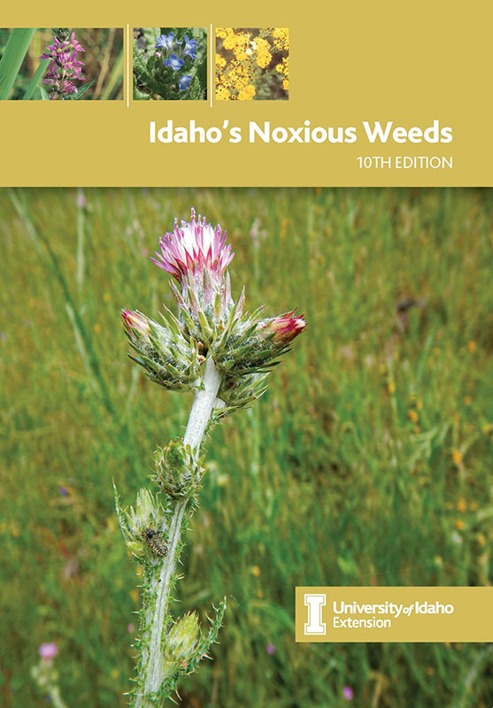 Idaho s Noxious Weeds 10th Edition