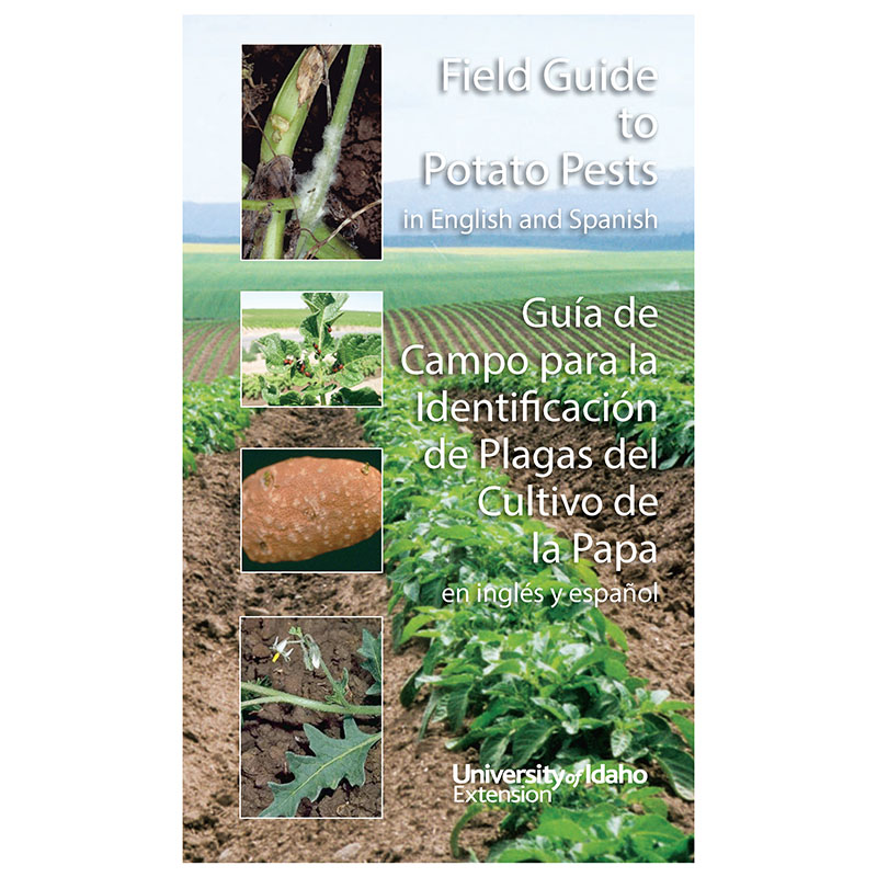 Field Guide to Potato Pests in English and Spanish