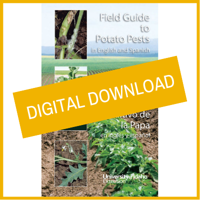 Field Guide to Potato Pests in English and Spanish [Digital Download]