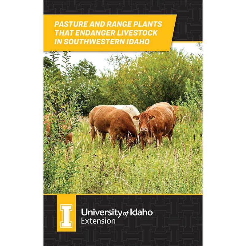 Pasture and Range Plants that Endanger Livestock in Southwestern Idaho