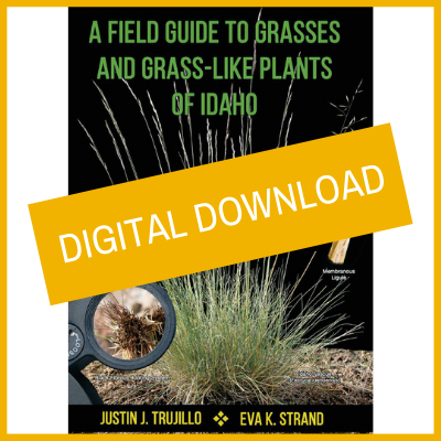 A Field Guide to Grasses and Grass-Like Plants of Idaho [Digital Download]