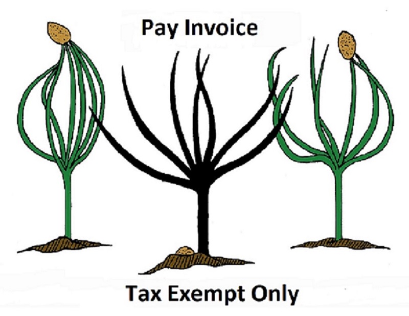 Pay Invoice-Tax Exempt Invoices Only