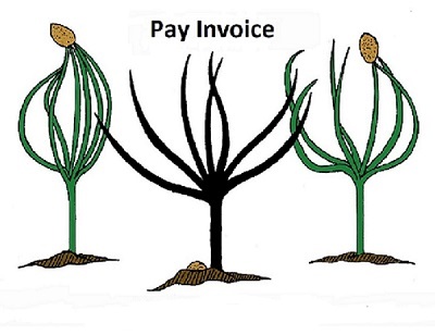 Pay Invoice-In State (Taxable) Invoices Only